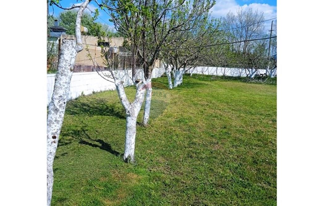 Tokë me shtëpi në shitje – Velipojë (Gomsiqe e Re), Shkodër
