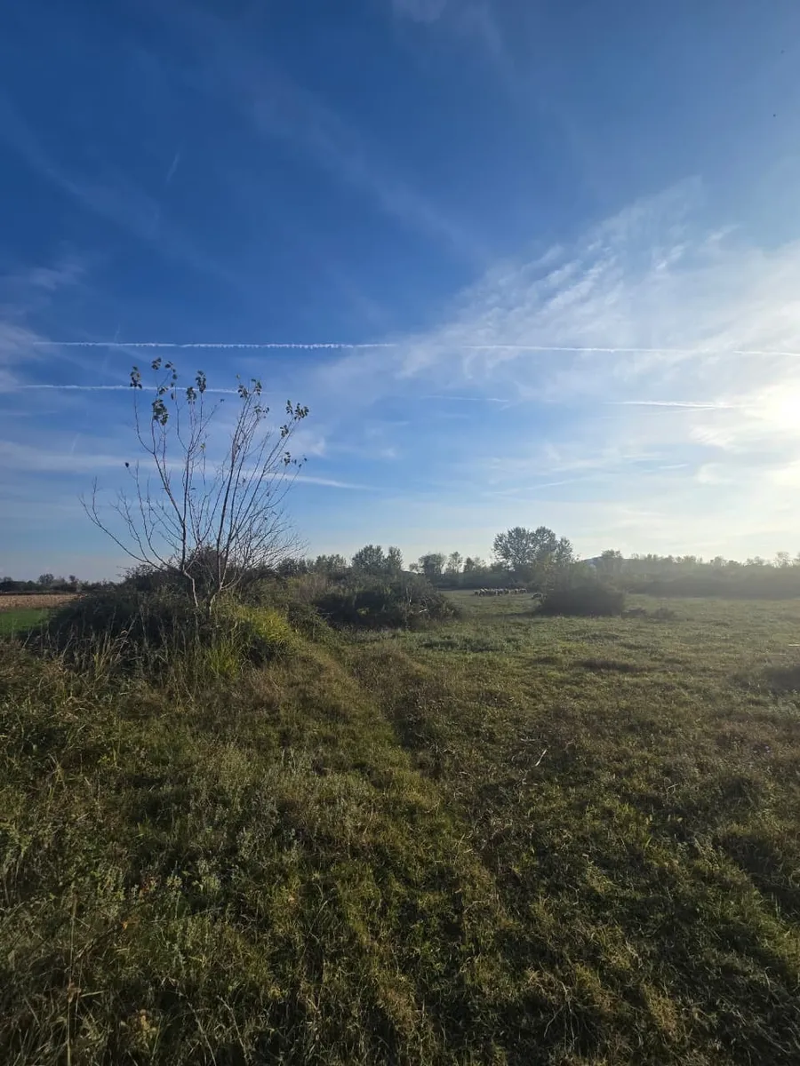 Land Plot for Sale – Shkodër City