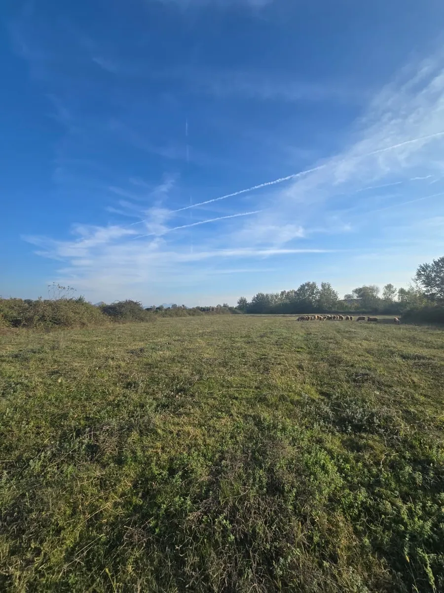Land Plot for Sale – Shkodër City