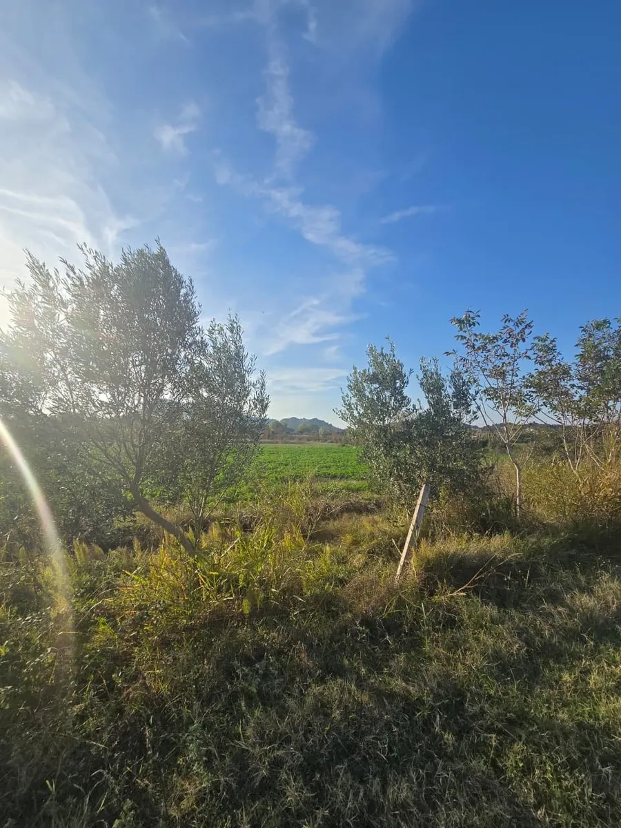 Land Plot for Sale – Shkodër City