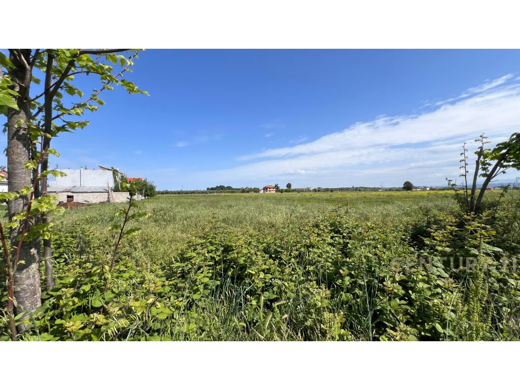 Land for sale in Katund te Ri, Durres