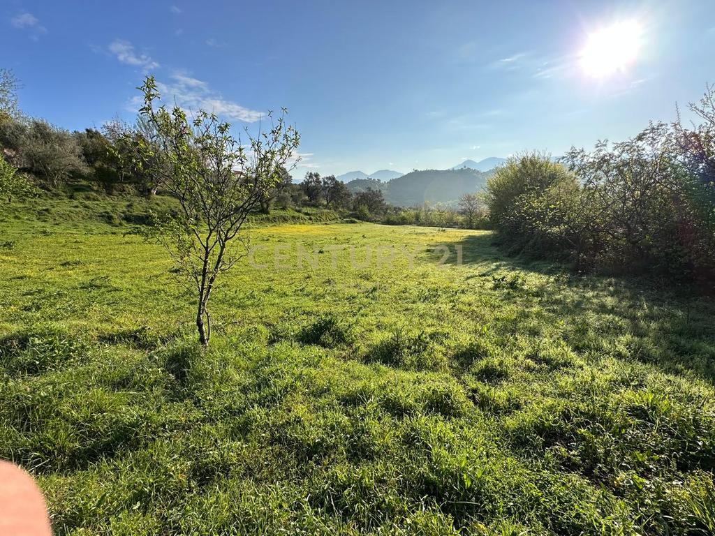 3500 m2 land for sale near Kashar lake – with tourism potential!