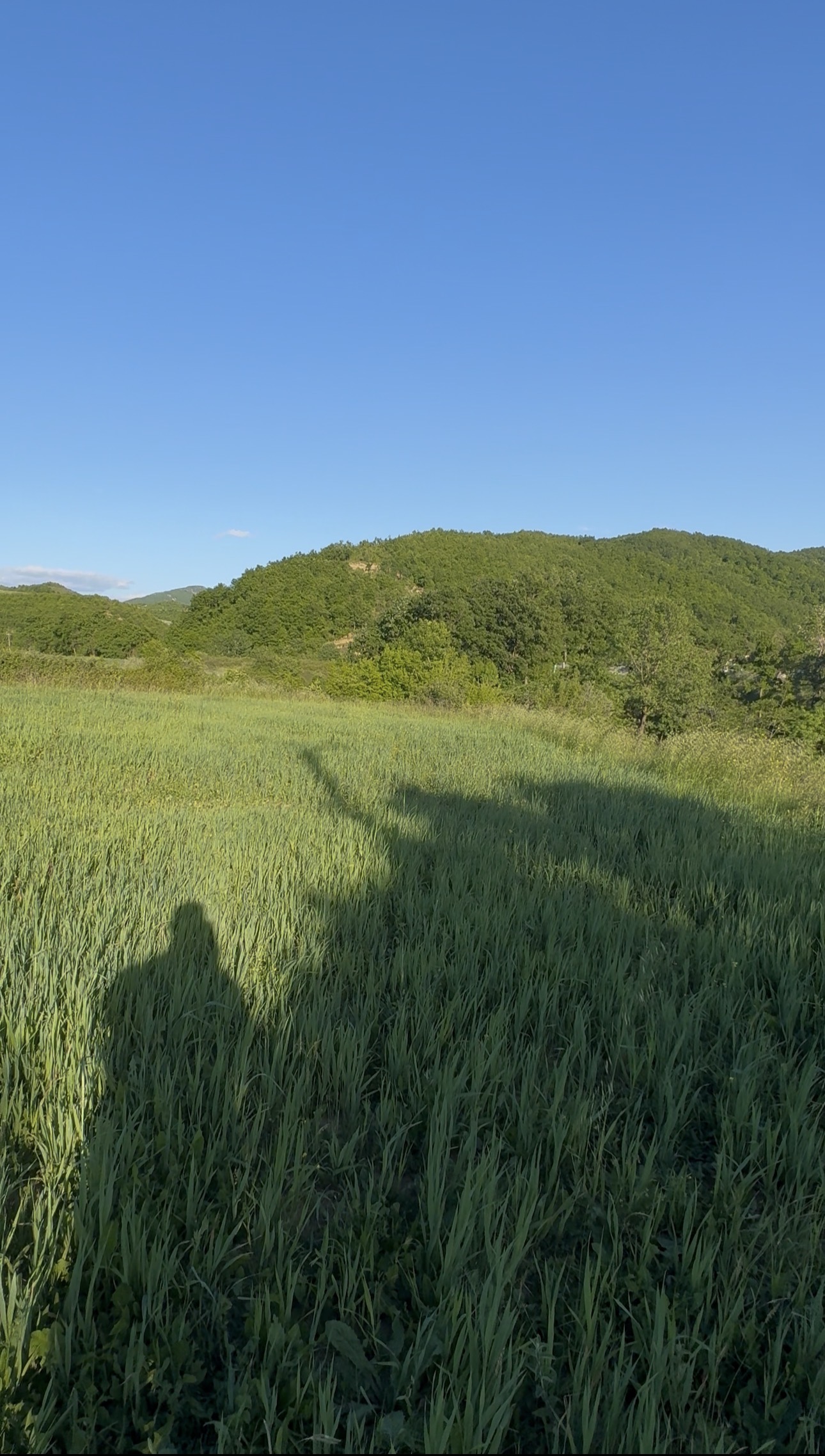 Land For Sale In VISHNJE 