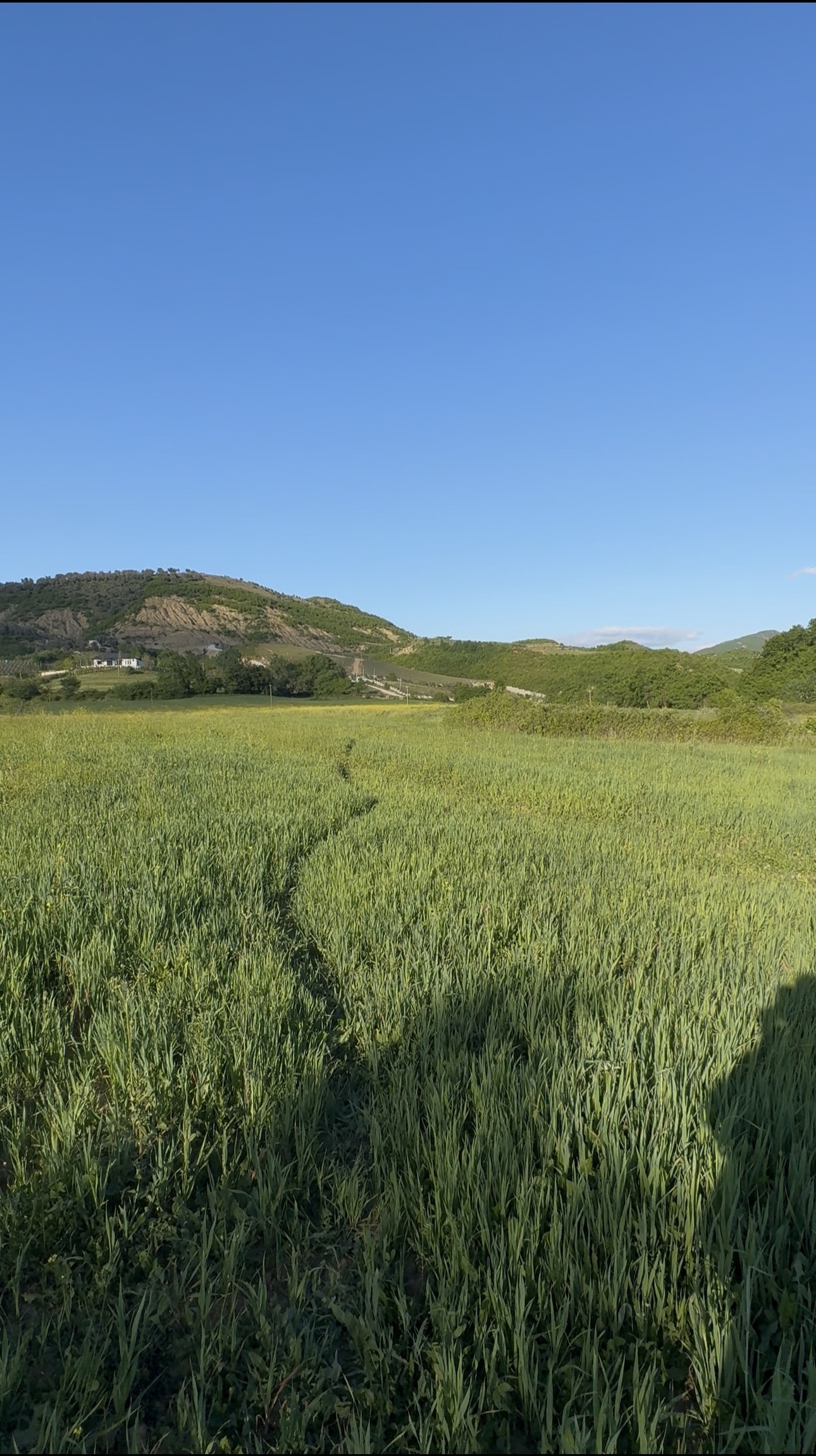 Land For Sale In VISHNJE 