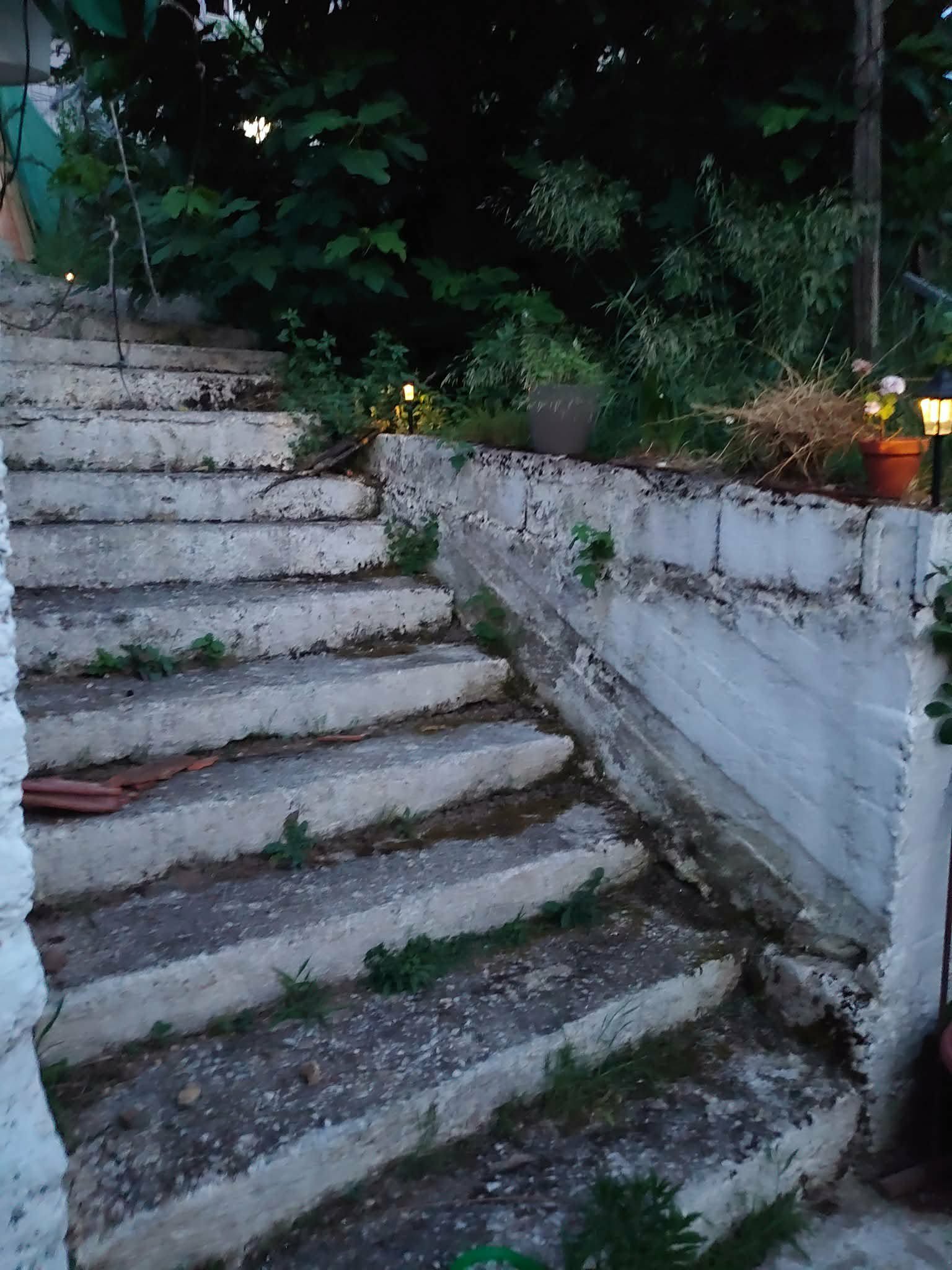 Garden Delvina