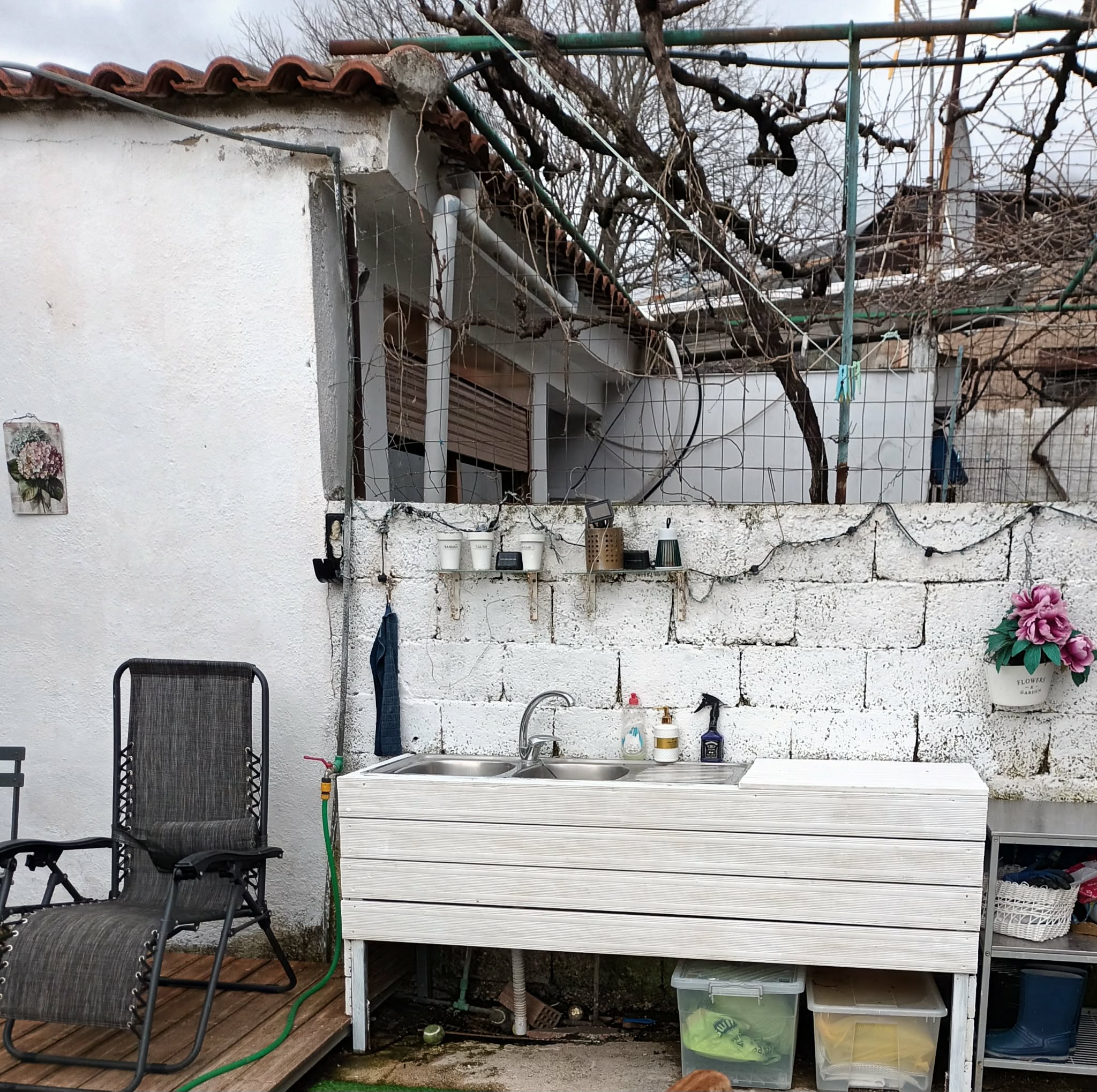 Garden Delvina