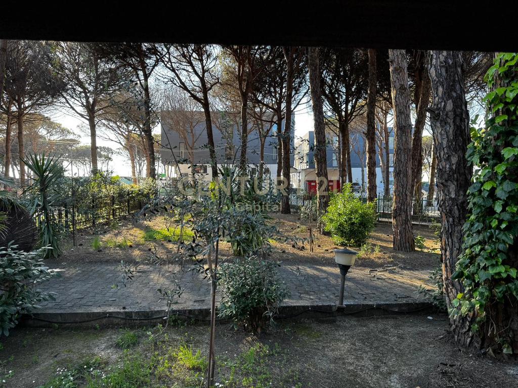 A small shady spot among the pine trees in Qeret!