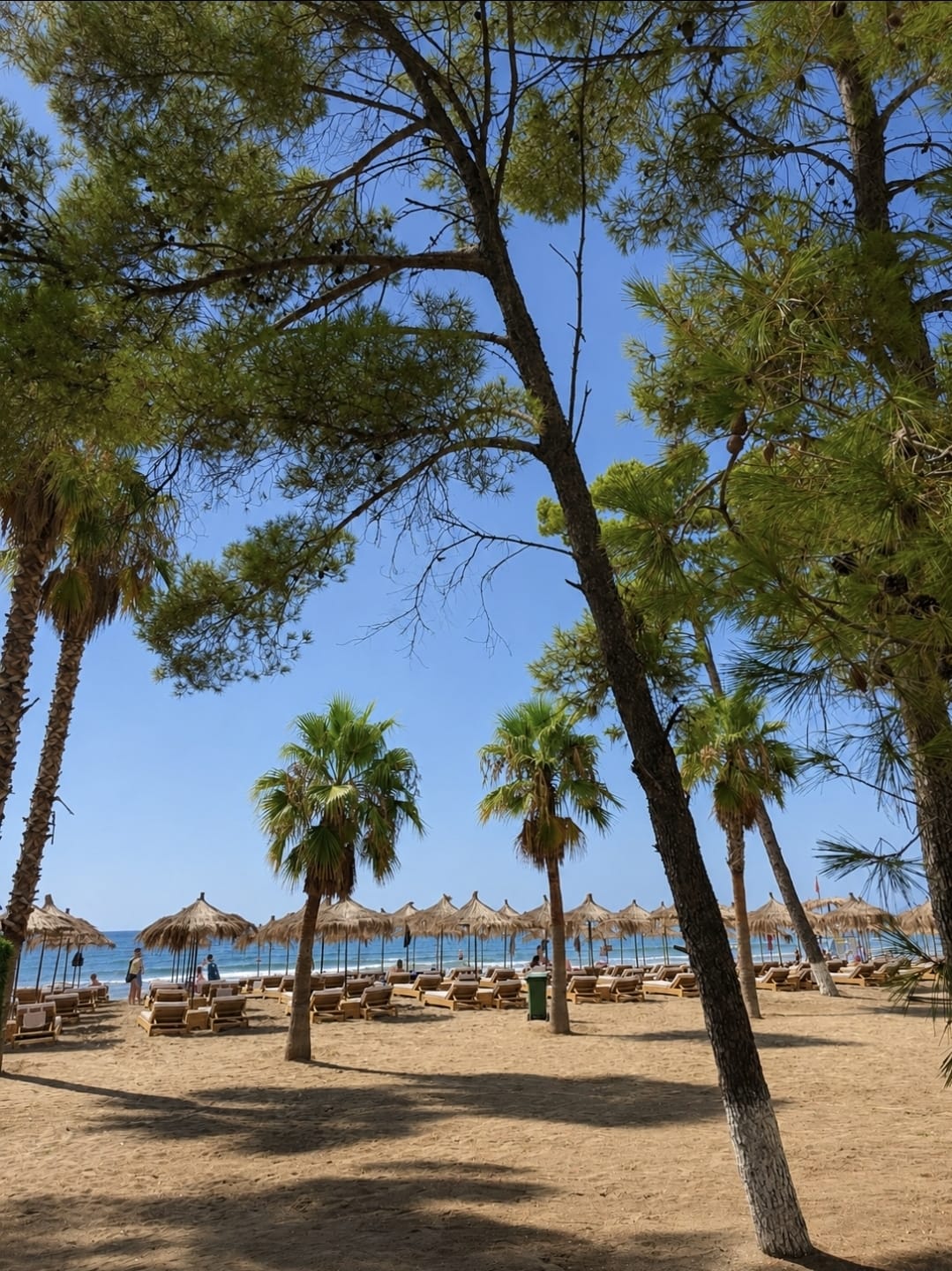 Holiday In 2 - directly across from beach