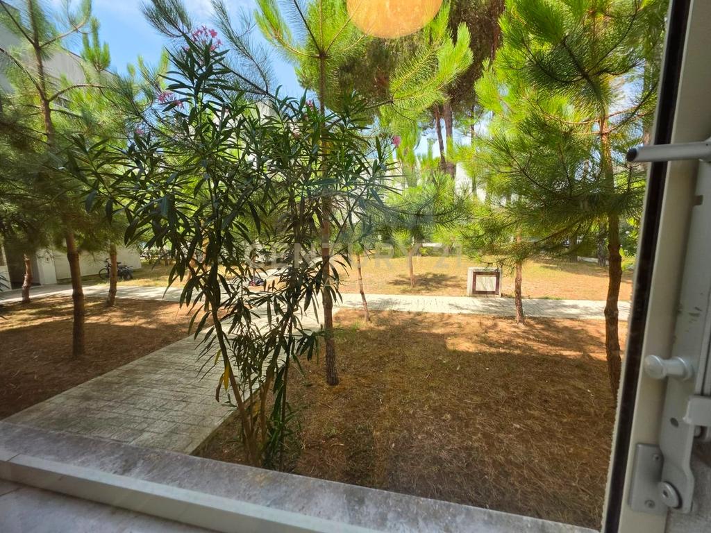 Shitet, Apartament 1+1+Post Parkimi, Perla Resort (3/13)
