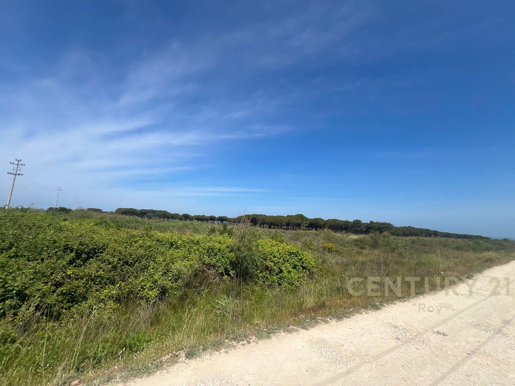 Land for Sale in the Rinia Sector - Ideal Investment Opportunity