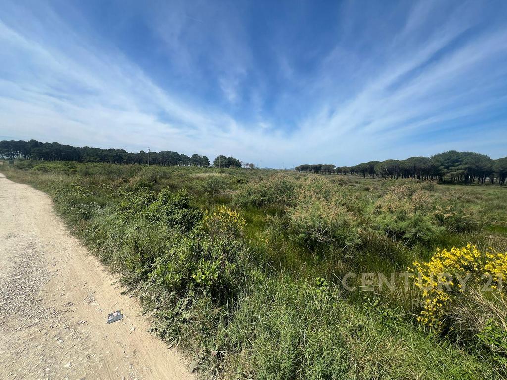 Land for Sale in the Rinia Sector - Ideal Investment Opportunity