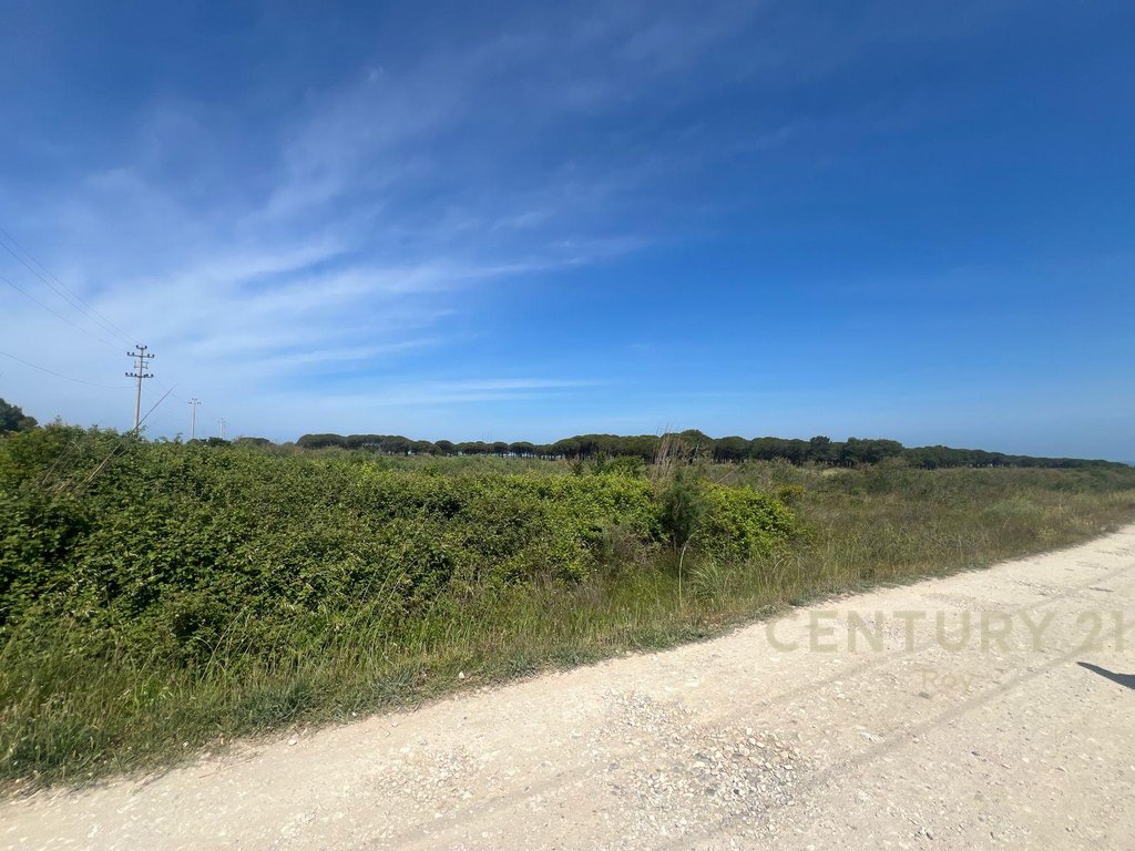 Land for Sale in the Rinia Sector - Ideal Investment Opportunity