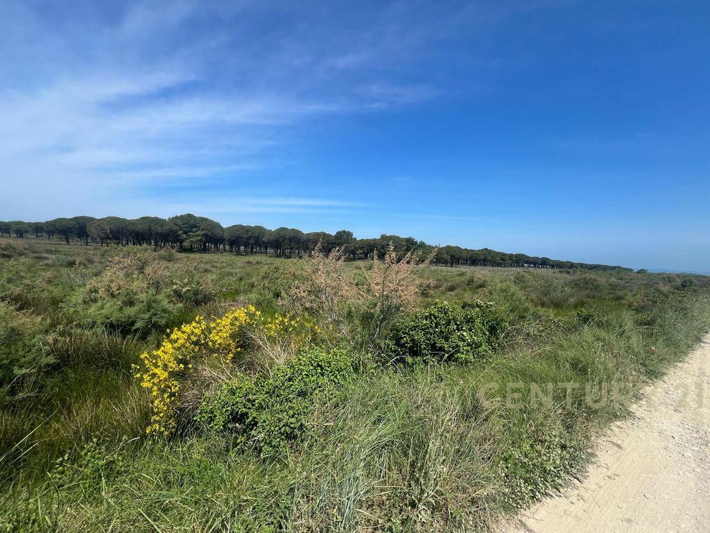 Land for Sale in the Rinia Sector - Ideal Investment Opportunity