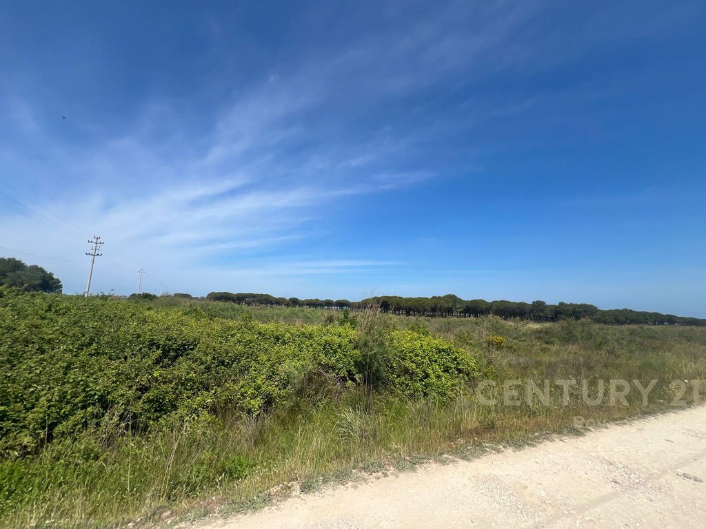 Land for Sale in the Rinia Sector - Ideal Investment Opportunity