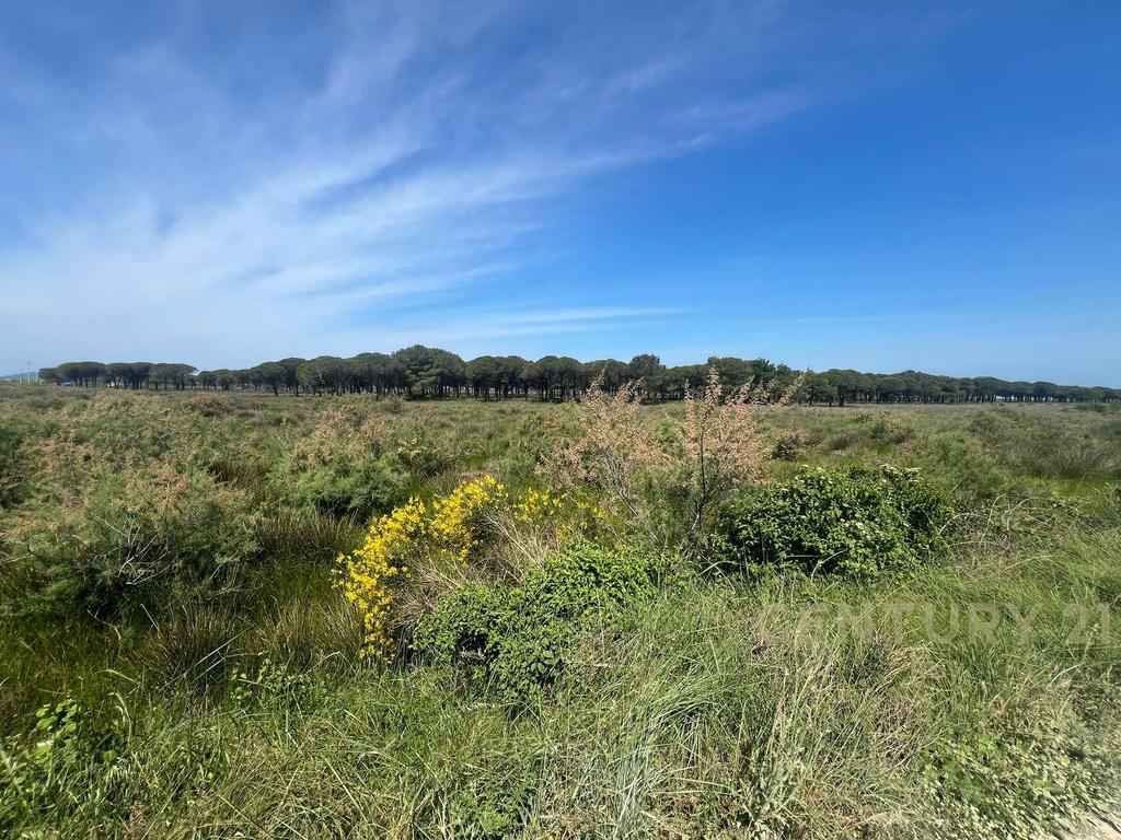 Land for Sale in the Rinia Sector - Ideal Investment Opportunity