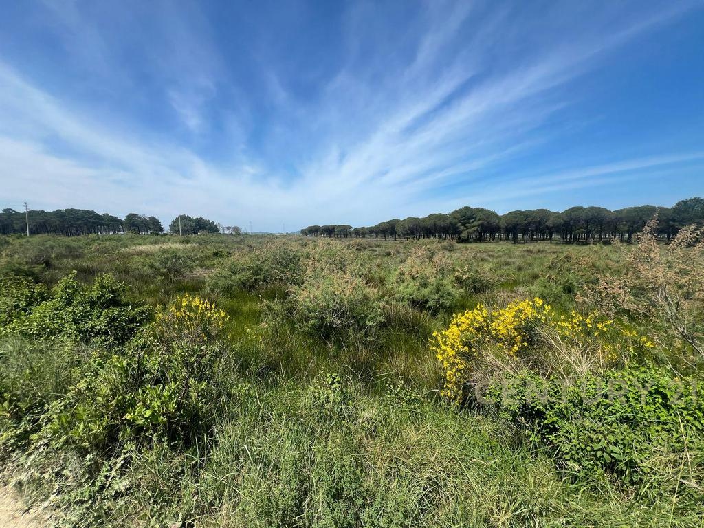 Land for Sale in the Rinia Sector - Ideal Investment Opportunity
