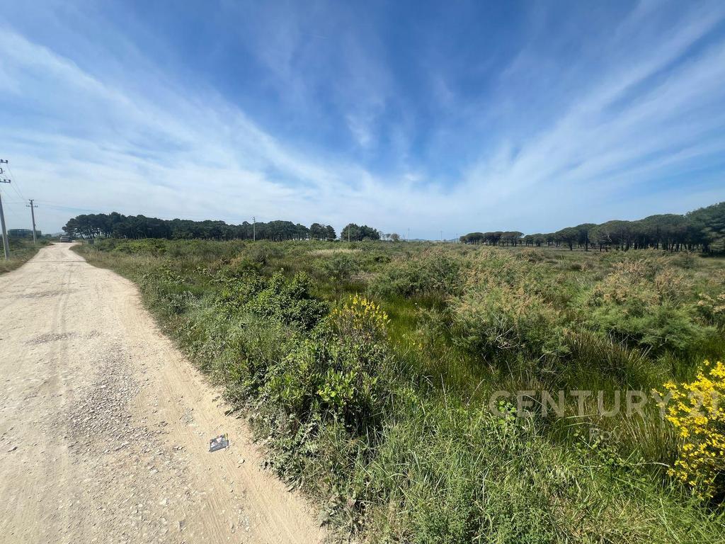 Land for Sale in the Rinia Sector - Ideal Investment Opportunity