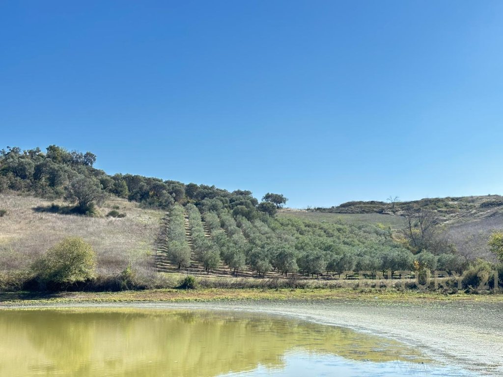 Apartment for Sale in Rromanat