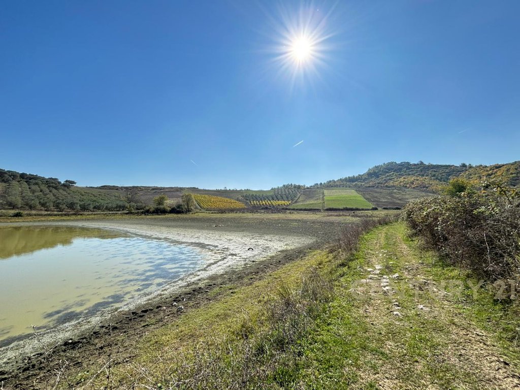 Apartment for Sale in Rromanat