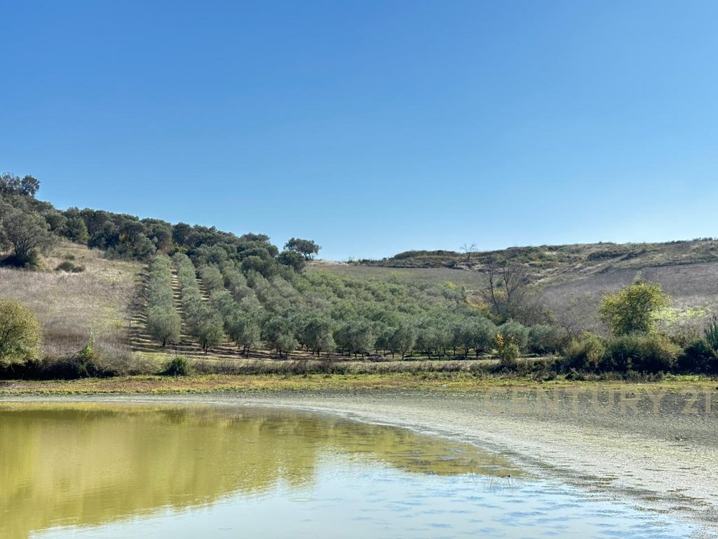 Apartment for Sale in Rromanat