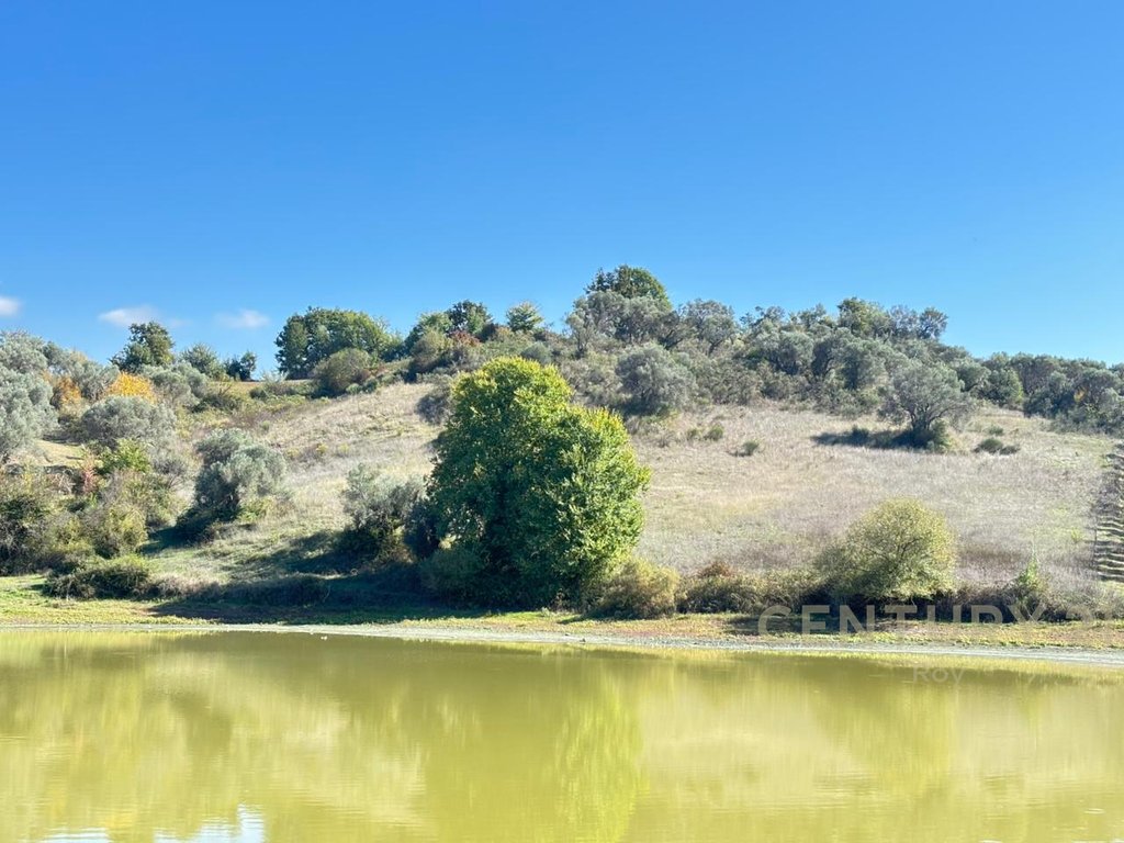 Apartment for Sale in Rromanat