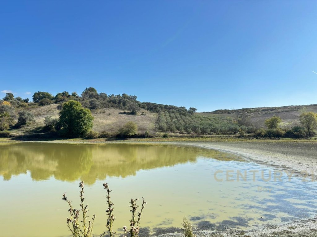 Apartment for Sale in Rromanat