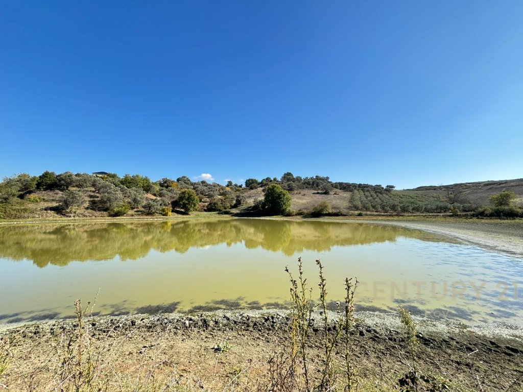 Apartment for Sale in Rromanat