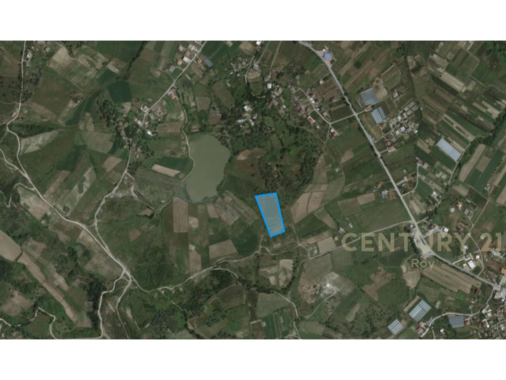 Apartment for Sale in Rromanat
