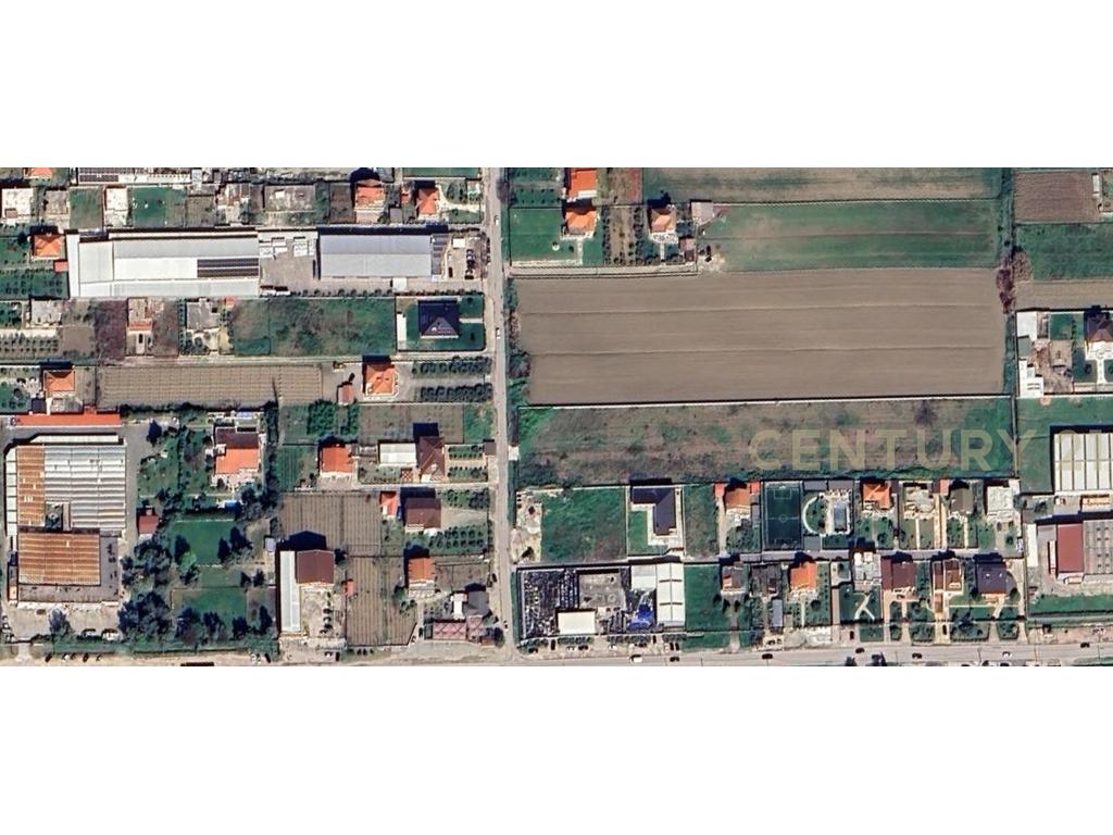 Token for Sale in Xhafzotaj, Durres