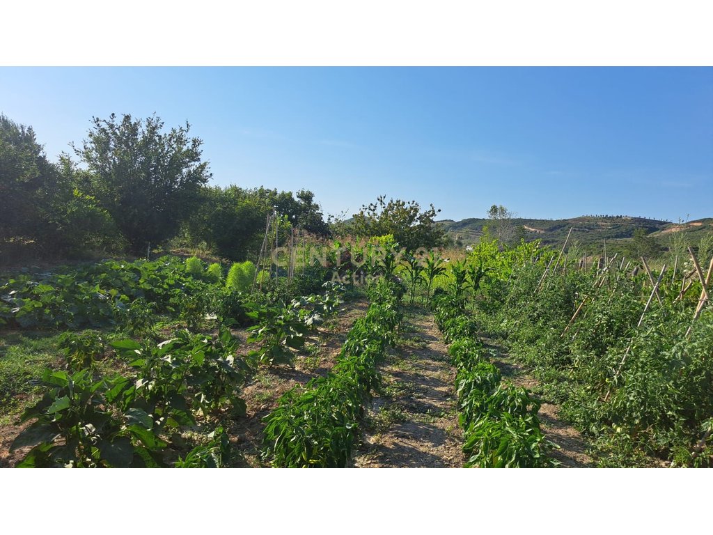 MATCH THREE RESIDENTIAL BUILDINGS AND LAND IN SPILLE-KAVAJE!