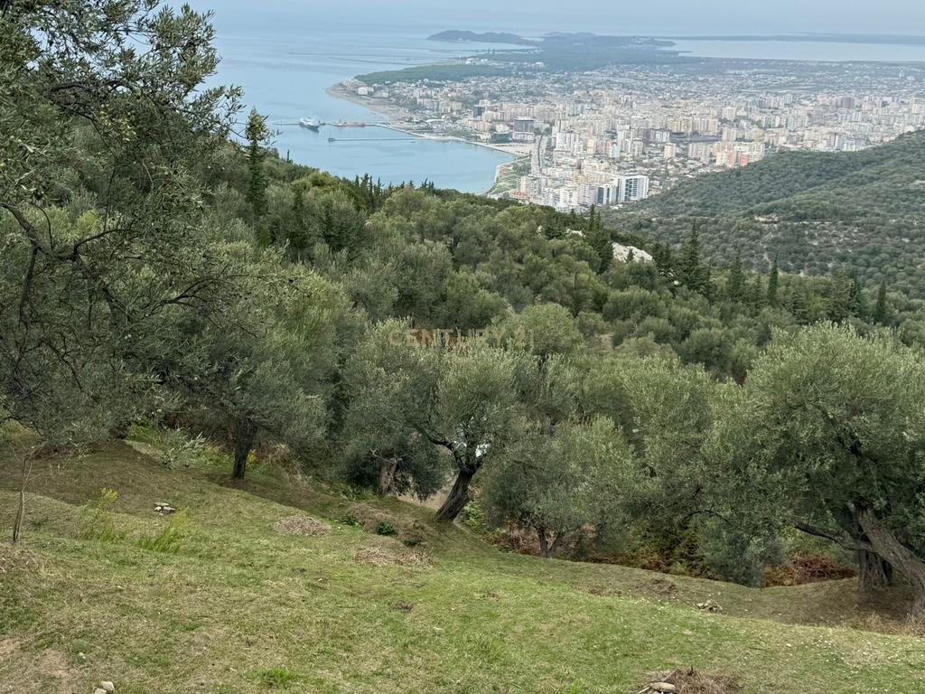 Panoramic Land in Kaninë, Vlorë – Sea View Investment Opportunity!!!
