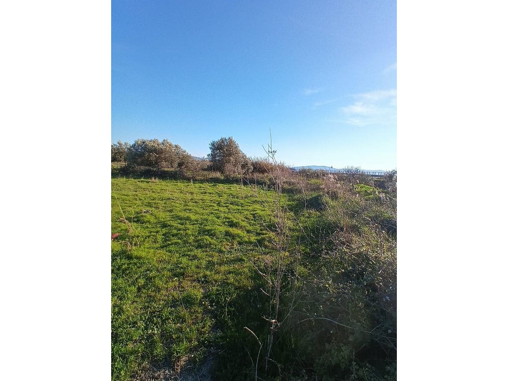 FOR SALE 1000 M² – LAND IN "PANAJA"