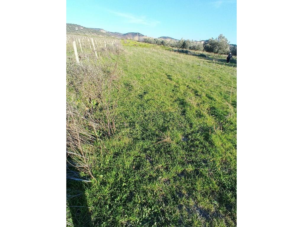 FOR SALE 1000 M² – LAND IN "PANAJA"