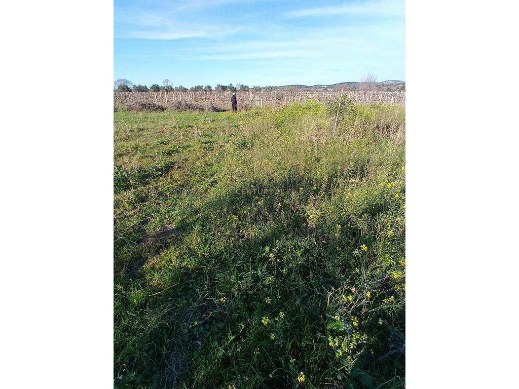 FOR SALE 1000 M² – LAND IN "PANAJA"