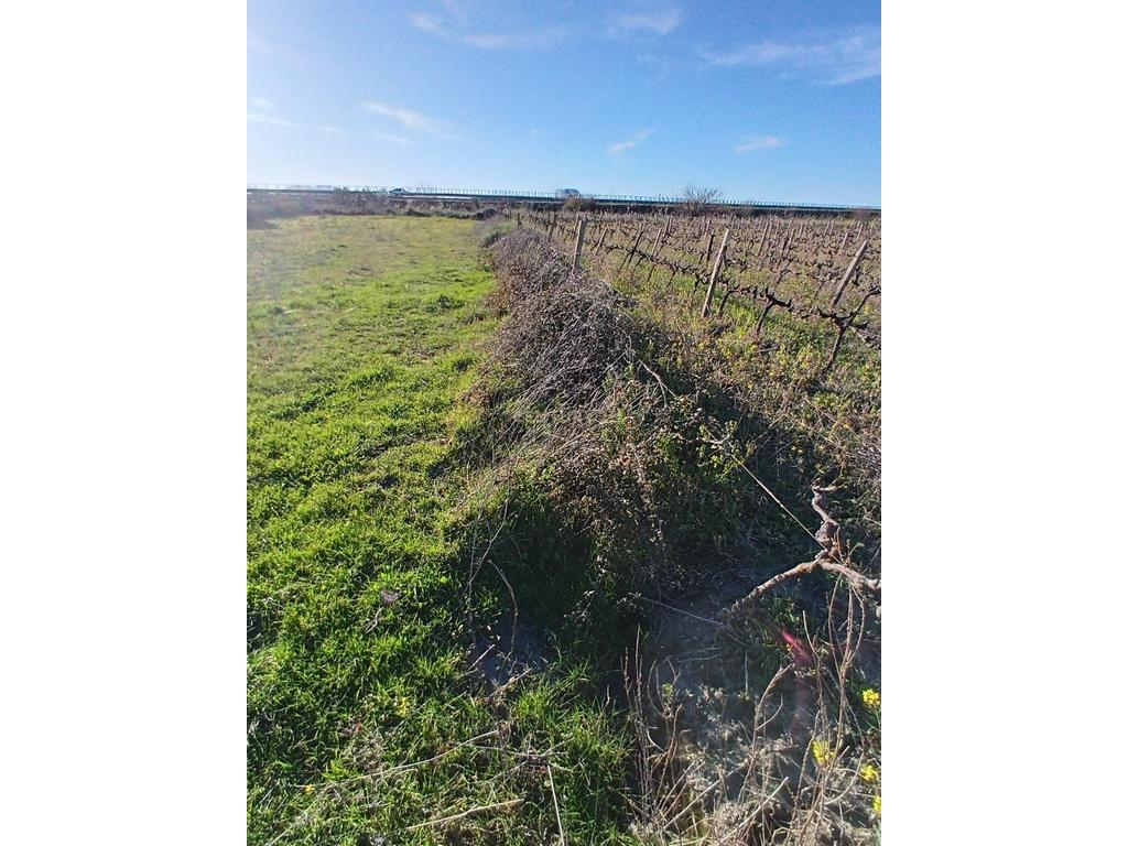 FOR SALE 1000 M² – LAND IN "PANAJA"