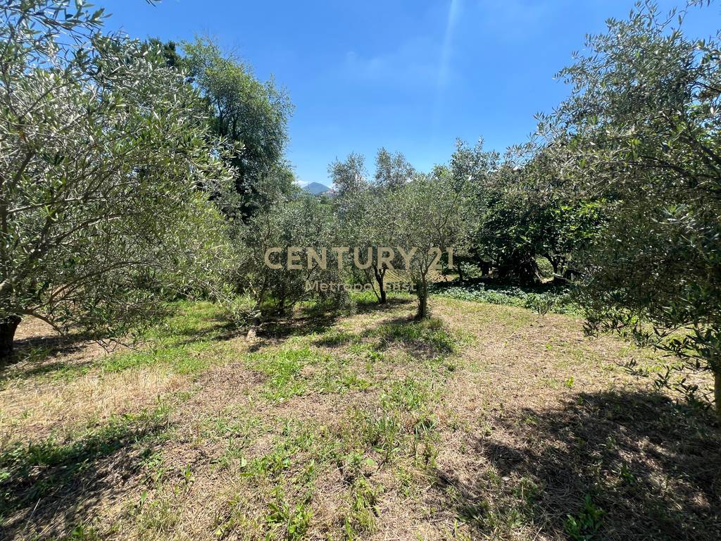Land for sale in front of SeeHena residences in Sauk.