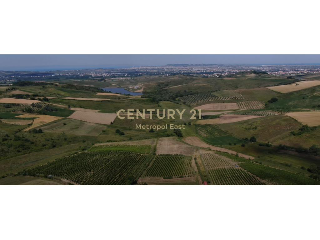FOR SALE – Winery “Shahinaj” in Gjepale
