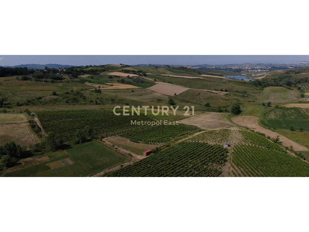 FOR SALE – Winery “Shahinaj” in Gjepale