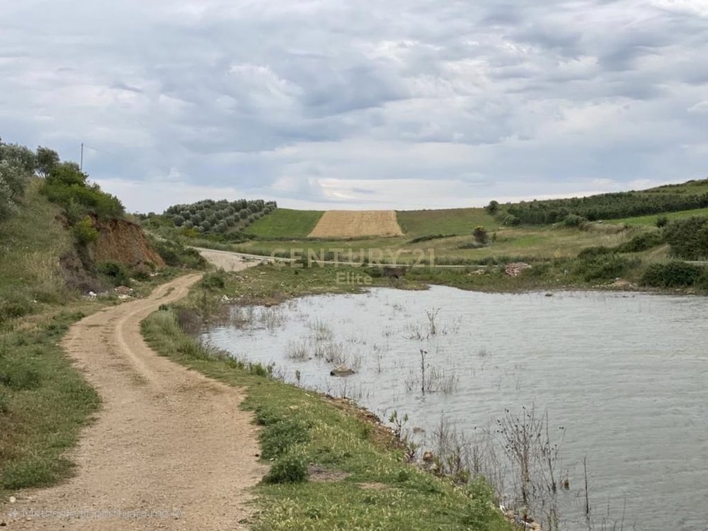 Land for sale in Belsh with a view of the lake and ownership certificate!