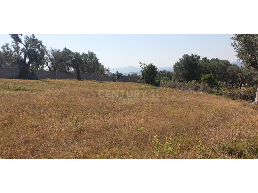 Land for sale in Babru hill