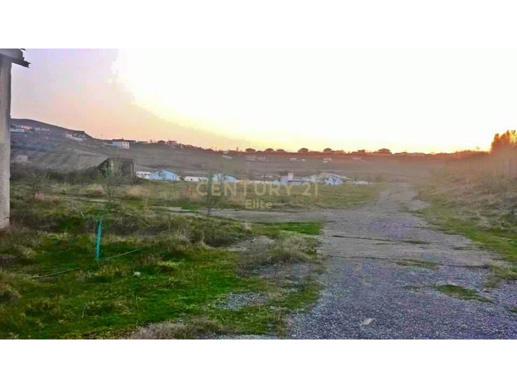 Shitet ish pularia ne Elbasan.