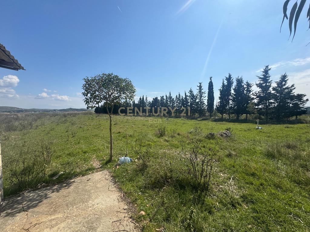 Land for Sale in Spille, Second Line!