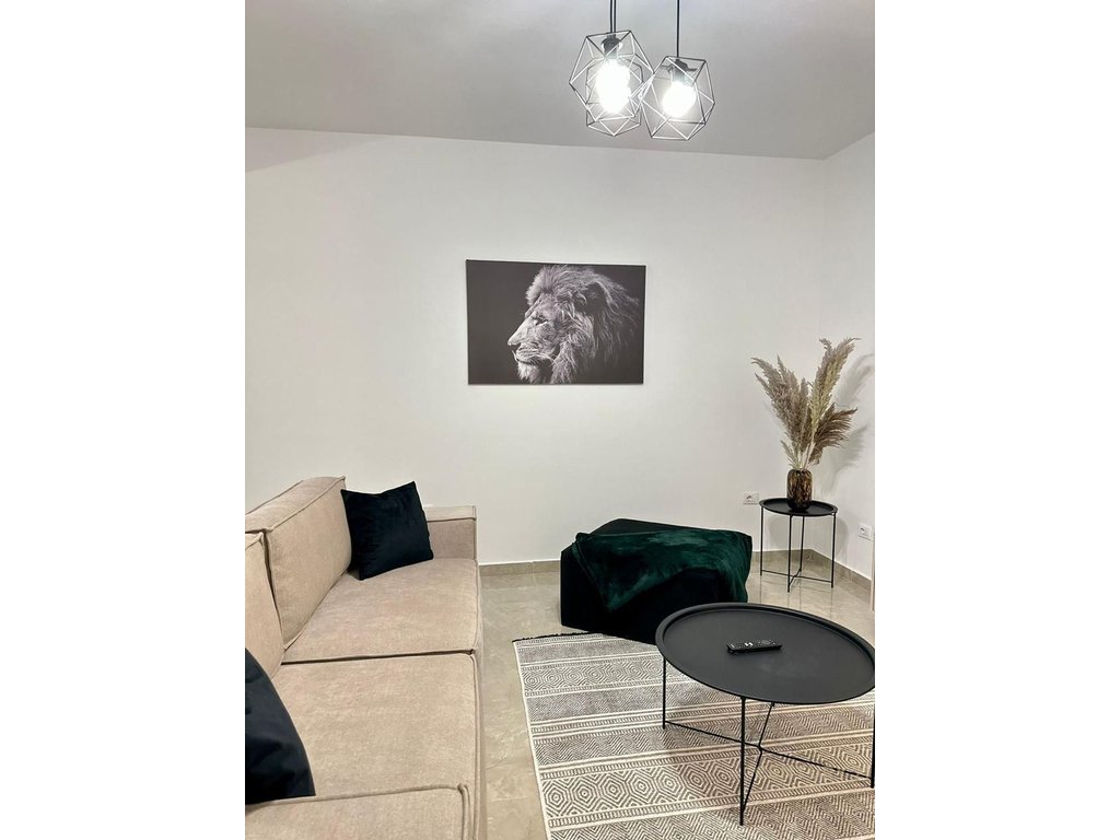 Center, Apartment 1+1+Separate Kitchen!