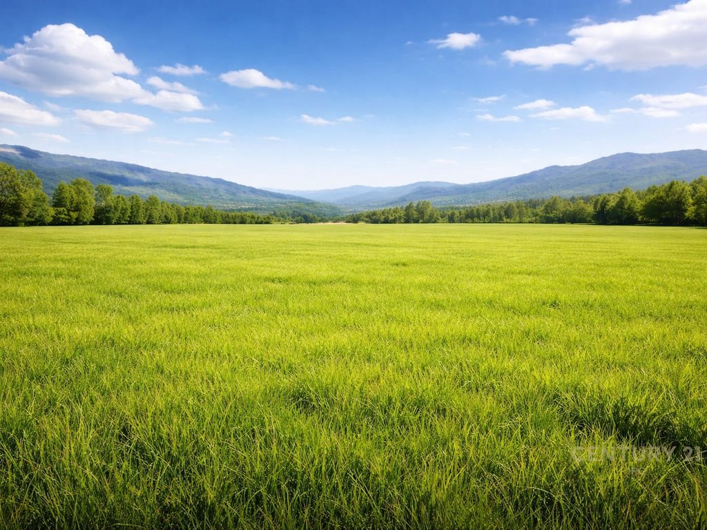 LAND FOR SALE NEAR URES SE GJOLES - 1,500,000€ | 50,000 m²