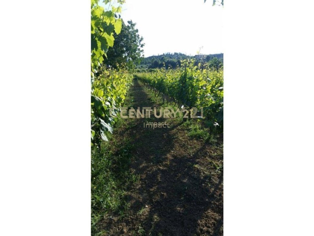 PLOT FOR SALE IN BALDUSHK (Tirana) - €103,000 | 2300 m²