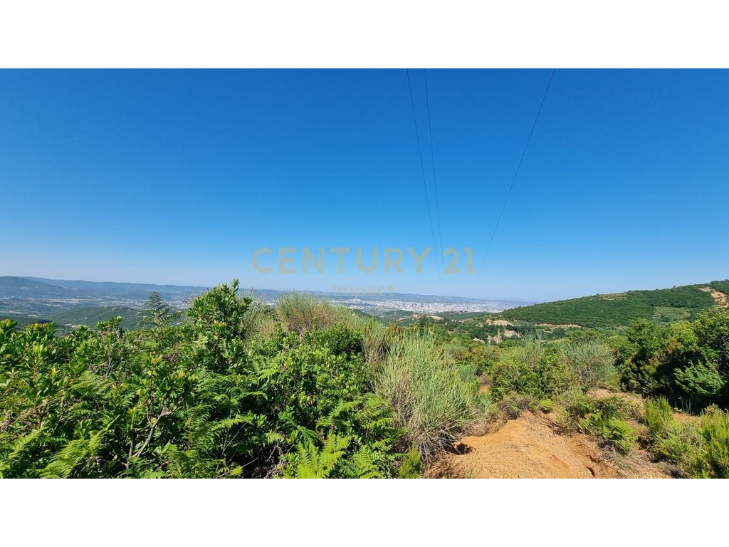 Land For Sale in Surrel, Tirana - €710,400!