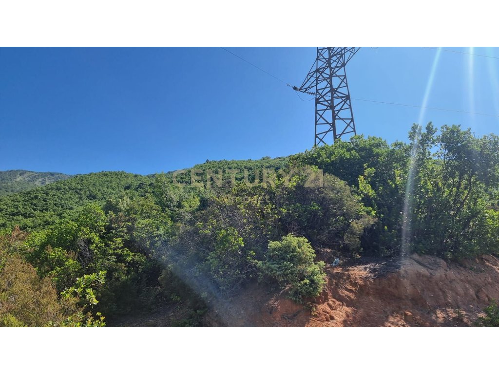 Land For Sale in Surrel, Tirana - €710,400!