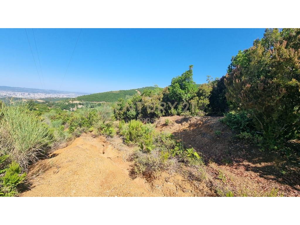 Land For Sale in Surrel, Tirana - €710,400!