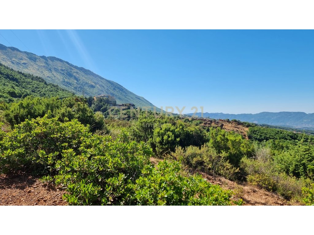 Land For Sale in Surrel, Tirana - €710,400!