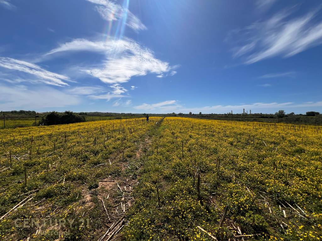 Land for sale near Lalzi Bay